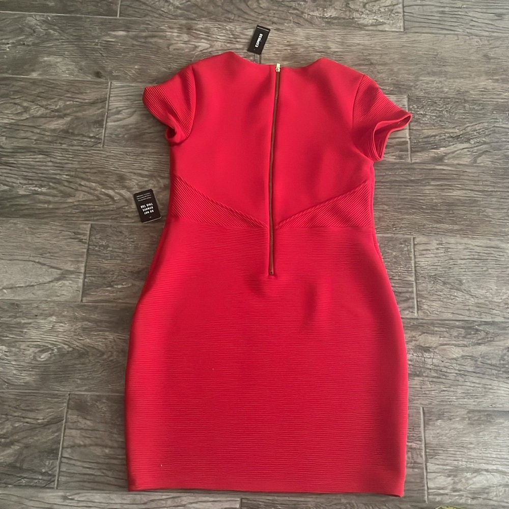 Express Dress - Picture 6 of 7